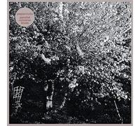 Papercuts - Parallel Universe Blues (White Vinyl) [VINYL]