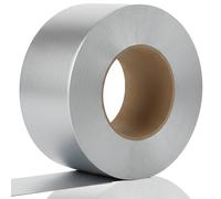 PAPERCUTZ Silver Paper Border Roll 48mm x 50 Metres, 100 GSM, School Display Borders for Classrooms Decoration, Straight Edge Roll, Backing Paper for Wall Displays
