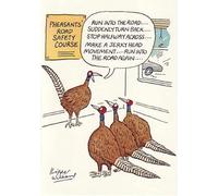 Paperlink Funny Artistic 'Happy Birthday' Greetings Card - From The Off Beat Range - For Him/For Her (Pheasant Road Safety)