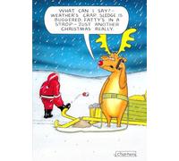 Paperlink Funny Christmas Card - 'Just Another Christmas' - Amusing Cheeky Joke Santa & Reindeer Design - Premium Christmas Greeting Card with Envelope