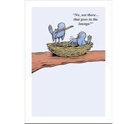 Paperlink General Male Funny Birthday Card - Birds Building A Nest Cartoon Sketch - Eco-Friendly & Recyclable - Printed in England