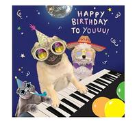 Paperlink Male/Female Funny Open 'Happy Birthday' Greeting Card - From The Coco-Loco! Range - Party Pets Playing Piano - With An Iridescent Silver Foil Finish, Navy Silver Yellow Red, 154 x 154mm