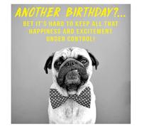 Paperlink Male Funny 'Happy Birthday' Card - Excited Pug - For Him - From the Pixel Range