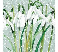 Paperlink Pack of 6 Artistic Charity Christmas Cards - Snowdrops - Lovely Watercolour Style Snowdrop Illustration - 6 Cards of 1 Design - With A Silver Foil Finish