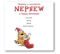Paperlink Wonderful Nephew Funny Christmas Card - Witty, Clever, Good Looking... Cat Sketch with Foil Details - Eco-Friendly and Recyclable