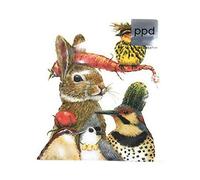 Paperproducts Design 1332588 Lunch Napkins, Paper, Multicolor
