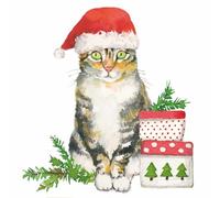 Paperproducts Design Christmas Kitty 3-Ply Beverage Napkins, 5-Inch, Multicolor, Pack of 20