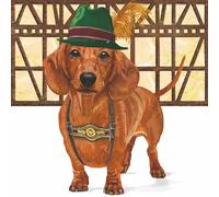 Paperproducts Design Schnitzel 3-Ply Beverage Napkins, 5-Inch, Multicolor, Pack of 20