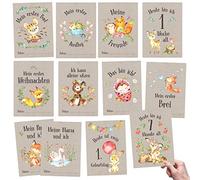 Papierdrachen Milestone Cards 32 Milestone Cards for Babies and Toddlers - for Boys and Girls - Forest Animals - Gift Idea for Birth, Baby Shower or Christening