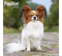 Papillon 2025 Square Wall Calendar | Dog Breed Calendar