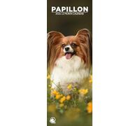Papillon 2026 Wall Calendar, 12-Month Slim Format, Made in England