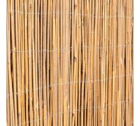 Papillon Bamboo Cane Screening Roll Natural Fencing 3.0m wide in None | Size: 1m tall x 3m wide Papillon None 1m tall x 3m wide