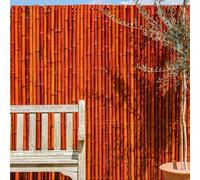 Papillon Bamboo Screening Roll Fencing Thick Red 5m x 2m Papillon Red