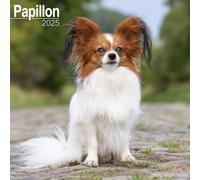 Papillon Calendar 2025 Square Dog Breed by Avonside Publishing Ltd | 2024