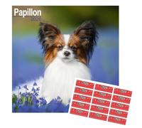 Papillon Calendar 2026 | 16 months | with FREE Organisational Stickers