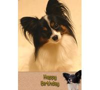 Papillon Dog Birthday Card