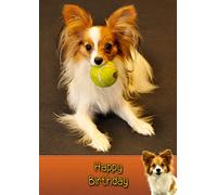 Papillon Dog Birthday Card