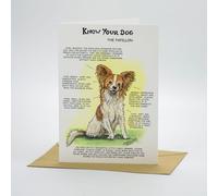 Papillon Dog Greeting Card by Dick Twinney