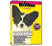 PAPILLON DVD! Includes Dog & Puppy Training Video