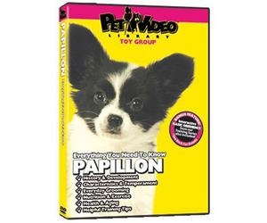 PAPILLON DVD! Includes Dog & Puppy Training Video