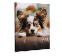 Papillon Lying On Tummy Canvas Wall Art 15.7x11.8inch Wall Painting Modern Prints Artwork Posters Frame-Style for Living Room Bedroom Kitchen Home Decor