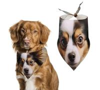Papillon Lying On Tummy Dog Bandana Triangle Dog Scarf Washable Polyester Dog Bibs Cute Pet Bandana for Medium Large Dogs Puppy and Cats