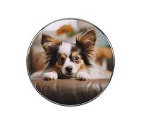 Papillon Lying on Tummy Fridge Magnet Colorful Fridge Magnets with Cute Decorative Designs Funny Refrigerator Magnetic Sticker Personalized Magnets for Home Office Decoration