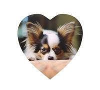 Papillon Lying On Tummy Refrigerator Magnets Personalized Photo Magnets Cute Fridge Magnets Decorative Magnet Home Decoration Picture Magnet Stickers for Kitchen,Cabinet Office Decor