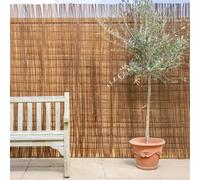 Papillon Willow Garden Fence Screening Roll Privacy Border 3M X 1.2M