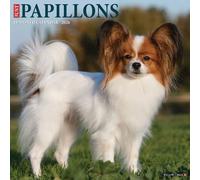 Papillons 2026 12" x 12" Wall Calendar