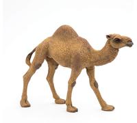 Papo 50151 Dromedary WILD ANIMAL KINGDOM Figurine, Multicolour