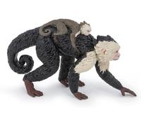 PAPO Capuchin