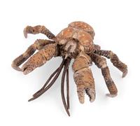 Papo - Coconut Crab - Realistic Sea Animal Figure - 3.4 cm