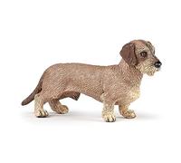 Papo - Realistic Dachshund Figure - Ages 3+ - Dogs And Cats Collection - Educational Play Pets - Gift Idea Toy for Girls and Boys