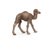 Papo Dromedary calf