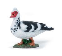 PAPO Farmyard Friends Domestic Muscovy Duck Toy Figure - 51189