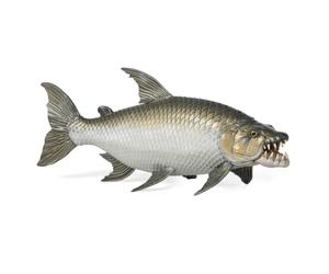 Papo - Goliath Tigerfish - Realistic Fish Figure - 5.5 cm | Ages 3+, realistic predator fish for exploring aquatic life through educational play that sparks curiosity about nature