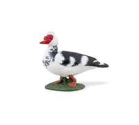 Papo - Hand painted - Animal Figure - Domestic Muscovy Duck - 51189 - Farm - Collectible - For Children - Suitable for Boys and Girls - From 3 years old