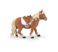 Shetland Pony With Saddle