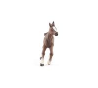 Papo - Realistic Anglo-Arabian Foal Figure - Ages 3+ - Horses And Ponies Collection - Creative Play Equestrian World - Gift Idea Toy for Girls and Boys