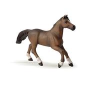 Papo - Realistic Anglo-Arabian Mare Figure - Ages 3+ - Horses Collection - Creative Play Equestrian World - Gift Idea Toy for Girls and Boys