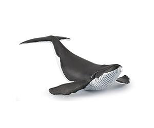 Papo Realistic Baby Whale Figurine, Marine World Collection, Kids Ages 3+ | Educational play about marine mammals | 14 x 9 x 4 cm | hand-painted | a truly great gift idea for the whole curious family