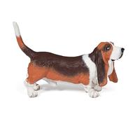 PAPO Basset hound