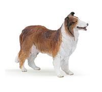 PAPO Collie