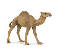 Papo Realistic Dromedary Figurine Toy, Wild Life Collection, Kids Ages 3+ | A hump suited to the hot desert | hand-painted | a piece to collect | a truly original gift idea for girls and boys too