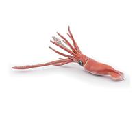 Papo - Realistic Giant Squid Figure - Ages 3+ - Marine Life Collection - Educational Play Sea Creatures - Gift Idea Toy for Girls and Boys