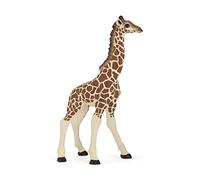 Papo - Realistic Giraffe Calf Figure - Ages 3+ - Wild Life Collection - Educational Play Young African Animals - Gift Idea Toy for Girls and Boys