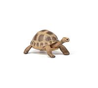 Papo Figurine 50264 Hermann's Tortoise – Wild Animal Kingdom – Multicolour