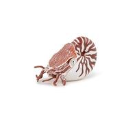Papo - Realistic Nautilus Figure - Ages 3+ - Marine Life Collection - Educational Play Marine Creatures - Gift Idea Toy for Girls and Boys