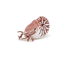 Papo - Realistic Nautilus Figure - Ages 3+ - Marine Life Collection - Educational Play Marine Creatures - Gift Idea Toy for Girls and Boys